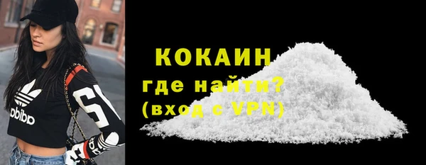 твердый Бородино