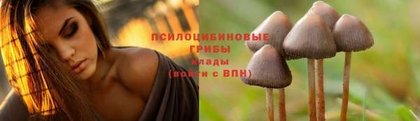 соль курить ск Бугульма