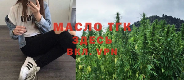 твердый Бородино