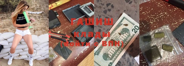 твердый Бородино