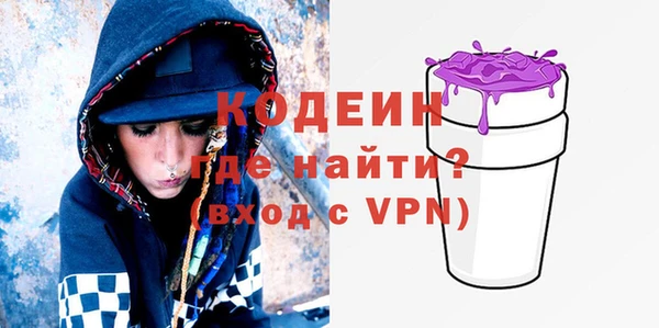 твердый Бородино