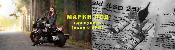 твердый Бородино