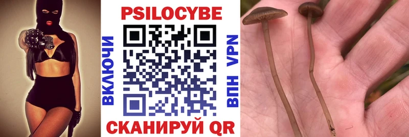 Галлюциногенные грибы прущие грибы  Купить  Красноармейск 